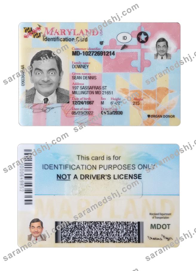USA Maryland ID card